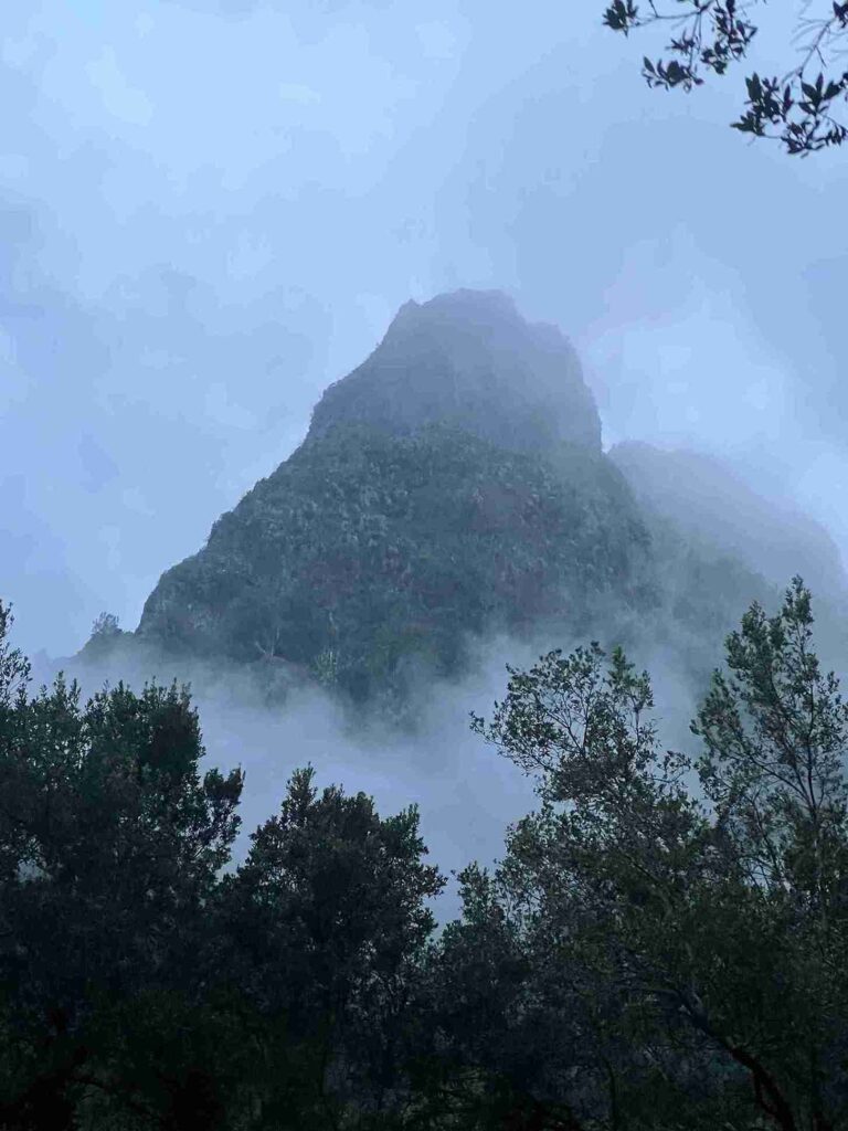 4WD tours Madeira misty mountain