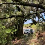 visiting fanal on a private tour