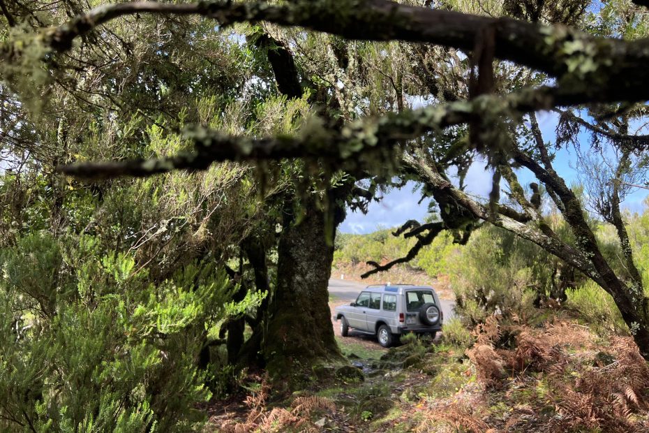 visiting fanal on a private tour