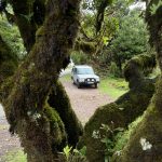 Full Day 4x4 Tour Madeira