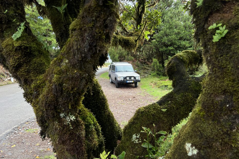 Full Day 4x4 Tour Madeira