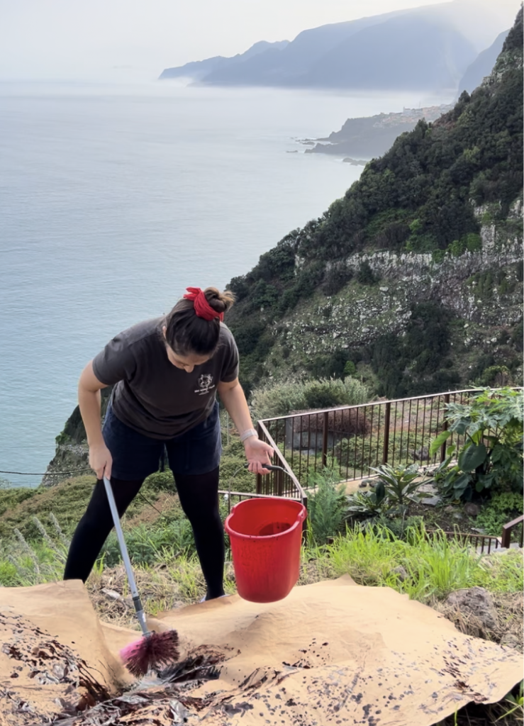 painting the paper for Lapinha with the view of Seixal behind