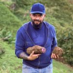 How Sweet Potatoes Are Grown in Madeira | Traditional Farming on the Island