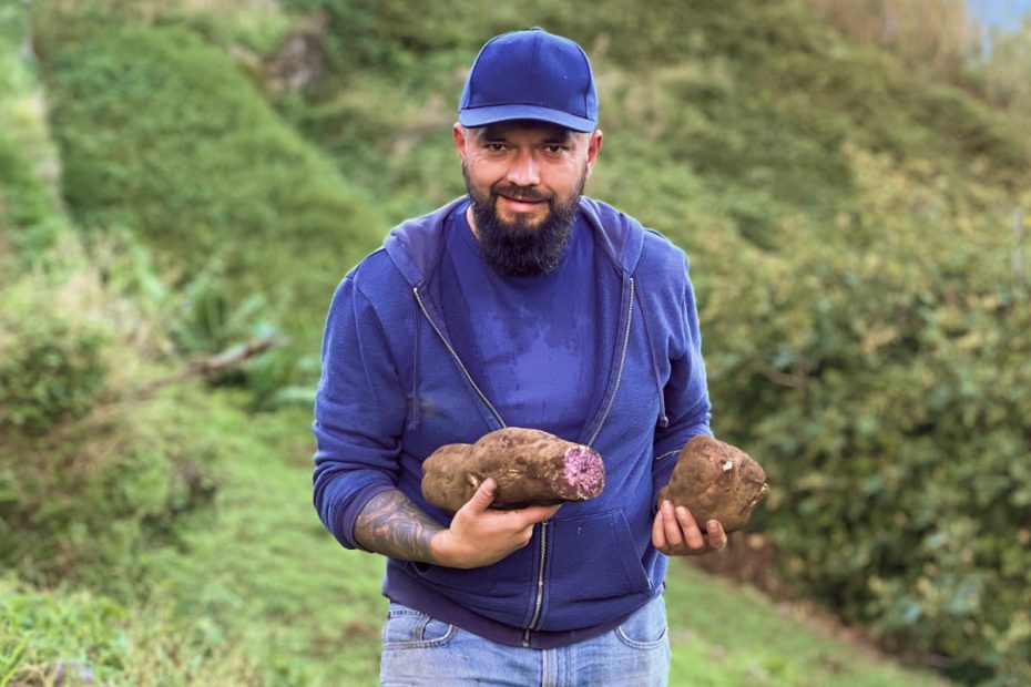 How Sweet Potatoes Are Grown in Madeira | Traditional Farming on the Island