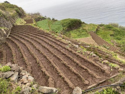 Agricultural-land-scaled