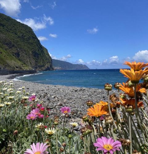 Sao Vicente Bay