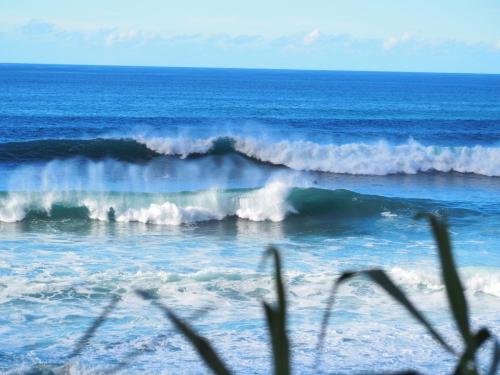 OLYMPUS_DIGITAL_CAMERA