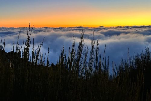 sunrise above clouds madeira